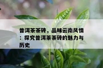 普洱茶茶砖，品味云南风情：探究普洱茶茶砖的魅力与历史