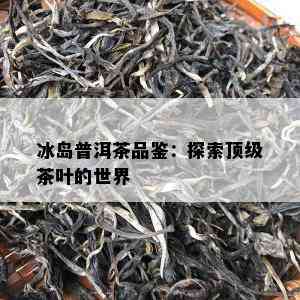 冰岛普洱茶品鉴：探索顶级茶叶的世界