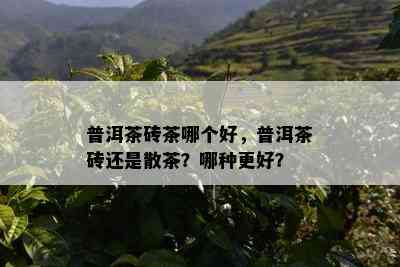 普洱茶砖茶哪个好，普洱茶砖还是散茶？哪种更好？