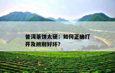 普洱茶饼太硬：怎样正确打开及辨别好坏？