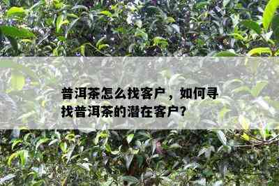 普洱茶怎么找客户，怎样寻找普洱茶的潜在客户？