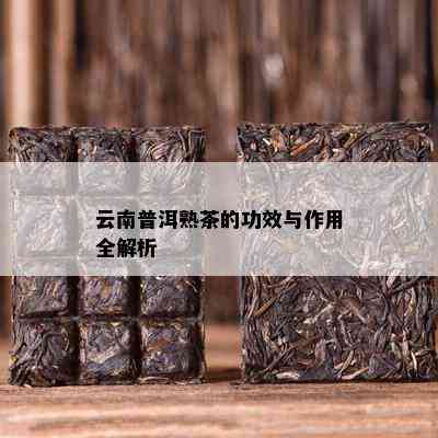 云南普洱熟茶的功效与作用全解析