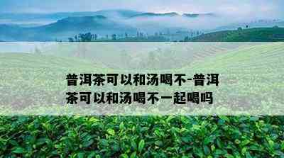 普洱茶可以和汤喝不-普洱茶可以和汤喝不一起喝吗