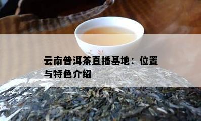 云南普洱茶直播基地：位置与特色介绍