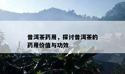 普洱茶用，探讨普洱茶的用价值与功效