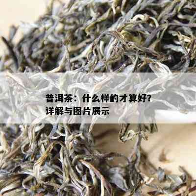 普洱茶：什么样的才算好？详解与图片展示