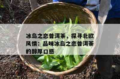 冰岛之恋普洱茶，探寻北欧风情：品味冰岛之恋普洱茶的醇厚口感