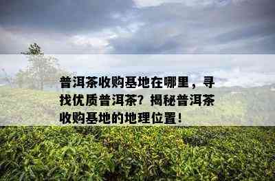 普洱茶收购基地在哪里，寻找优质普洱茶？揭秘普洱茶收购基地的地理位置！