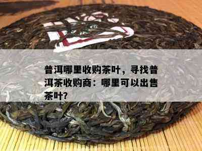 普洱哪里收购茶叶，寻找普洱茶收购商：哪里可以出售茶叶？