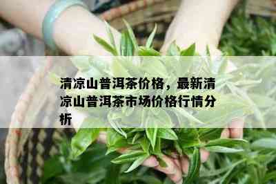 清凉山普洱茶价格，最新清凉山普洱茶市场价格行情分析