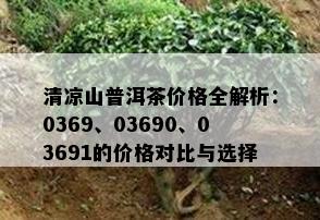 清凉山普洱茶价格全解析：0369、03690、03691的价格对比与选择