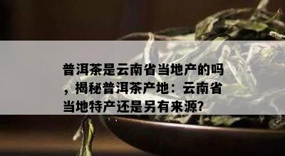 普洱茶是云南省当地产的吗，揭秘普洱茶产地：云南省当地特产还是另有来源？