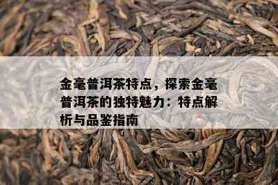 金毫普洱茶特点，探索金毫普洱茶的独特魅力：特点解析与品鉴指南