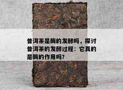 普洱茶是酶的发酵吗，探讨普洱茶的发酵过程：它真的是酶的作用吗？