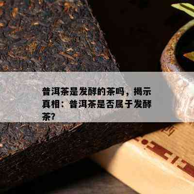 普洱茶是发酵的茶吗，揭示真相：普洱茶是不是属于发酵茶？