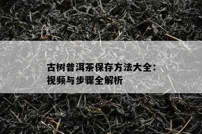 古树普洱茶保存方法大全：视频与步骤全解析