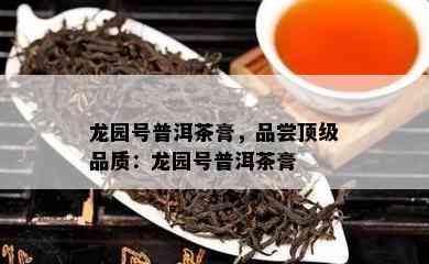 龙园号普洱茶膏，品尝顶级品质：龙园号普洱茶膏