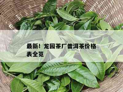 最新！龙园茶厂普洱茶价格表全览