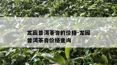 龙园普洱茶膏的价格-龙园普洱茶膏价格查询