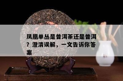 凤凰单丛是普洱茶还是普洱？澄清误解，一文告诉你答案