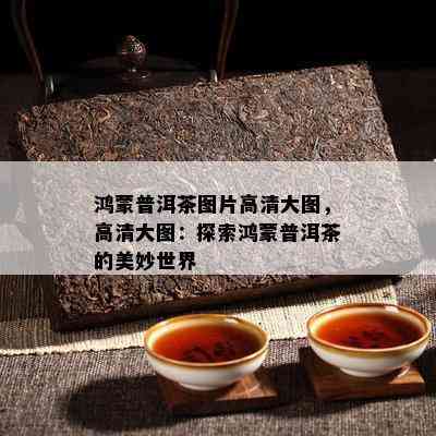 鸿蒙普洱茶图片高清大图，高清大图：探索鸿蒙普洱茶的美妙世界