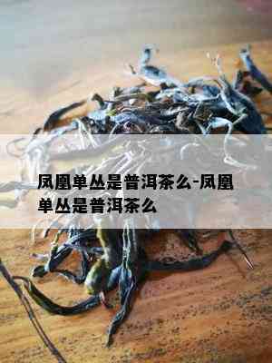 凤凰单丛是普洱茶么-凤凰单丛是普洱茶么