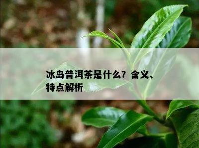 冰岛普洱茶是什么？含义、特点解析