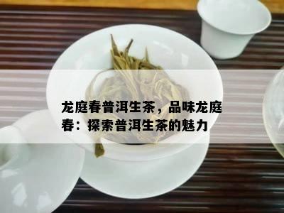 龙庭春普洱生茶，品味龙庭春：探索普洱生茶的魅力