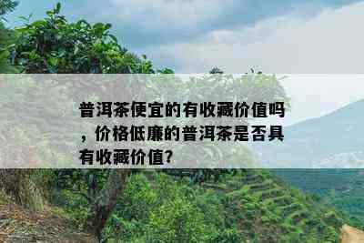 普洱茶便宜的有收藏价值吗，价格低廉的普洱茶是不是具有收藏价值？