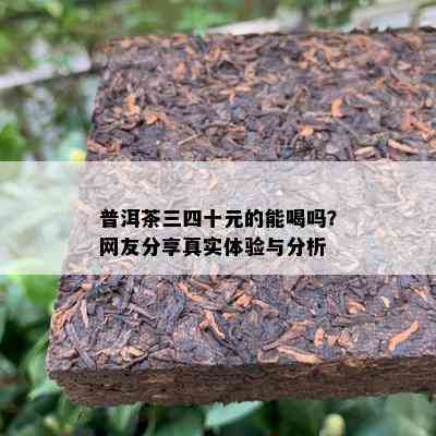 普洱茶三四十元的能喝吗？网友分享真实体验与分析