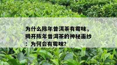 为什么陈年普洱茶有霉味，揭开陈年普洱茶的神秘面纱：为何会有霉味？