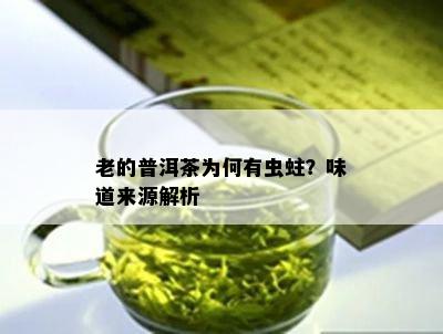 老的普洱茶为何有虫蛀？味道来源解析