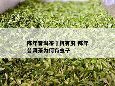 陈年普洱茶為何有虫-陈年普洱茶为何有虫子