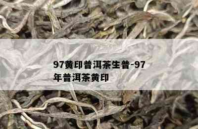 97黄印普洱茶生普-97年普洱茶黄印