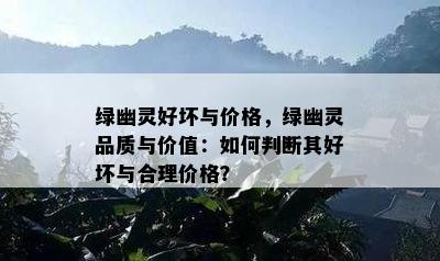 绿幽灵好坏与价格，绿幽灵品质与价值：怎样判断其好坏与合理价格？