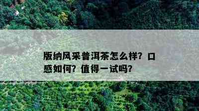 版纳风采普洱茶怎么样？口感怎样？值得一试吗？