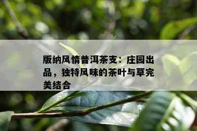 版纳风情普洱茶支：庄园出品，特别风味的茶叶与草完美结合