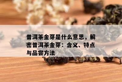 普洱茶金芽是什么意思，解密普洱茶金芽：含义、特点与品尝方法