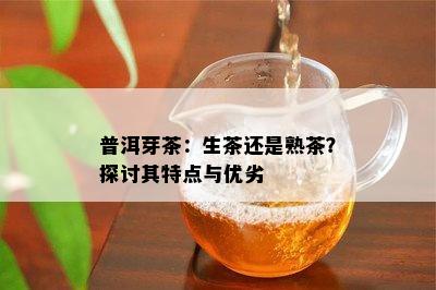 普洱芽茶：生茶还是熟茶？探讨其特点与优劣