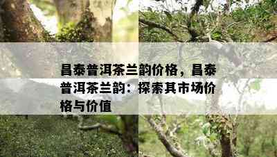 昌泰普洱茶兰韵价格，昌泰普洱茶兰韵：探索其市场价格与价值