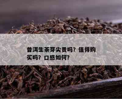 普洱生茶芽尖贵吗？值得购买吗？口感怎样？