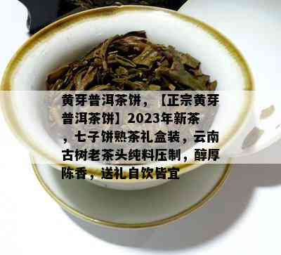 黄芽普洱茶饼，【正宗黄芽普洱茶饼】2023年新茶，七子饼熟茶礼盒装，云南古树老茶头纯料压制，醇厚陈香，送礼自饮皆宜