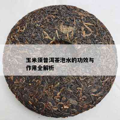 玉米须普洱茶泡水的功效与作用全解析