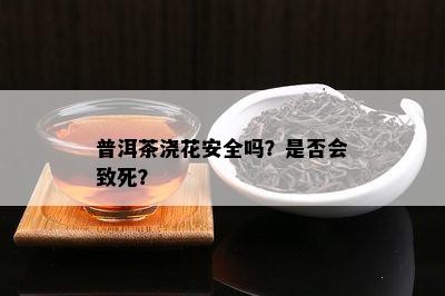 普洱茶浇花安全吗？是否会致死？