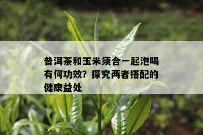 普洱茶和玉米须合一起泡喝有何功效？探究两者搭配的健康益处