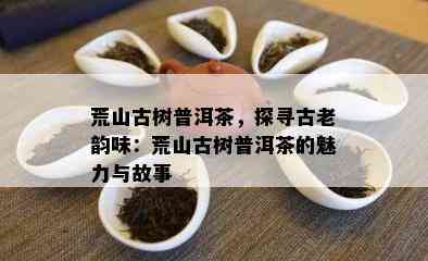 荒山古树普洱茶，探寻古老韵味：荒山古树普洱茶的魅力与故事