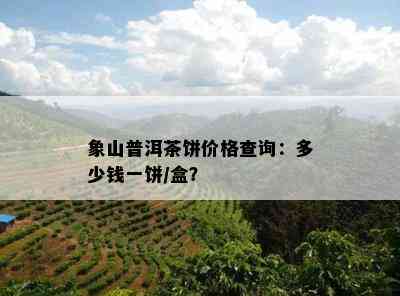 象山普洱茶饼价格查询：多少钱一饼/盒？