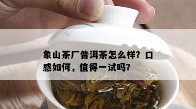 象山茶厂普洱茶怎么样？口感如何，值得一试吗？