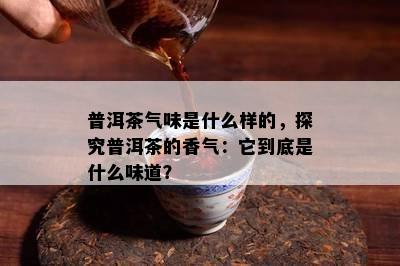 普洱茶气味是什么样的，探究普洱茶的香气：它到底是什么味道？