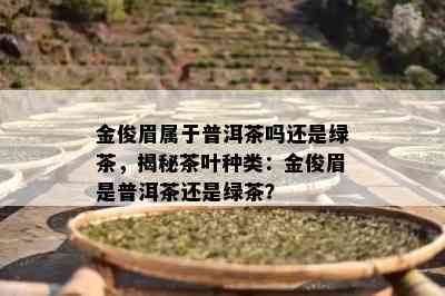 金俊眉属于普洱茶吗还是绿茶，揭秘茶叶种类：金俊眉是普洱茶还是绿茶？